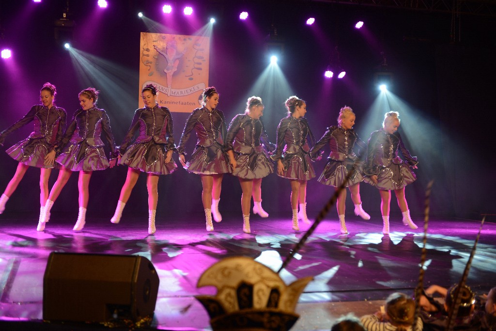 ../Images/Dansmarieke Festival 2016 155.jpg